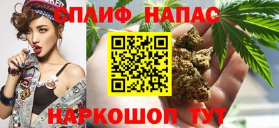 тгк Краснодар