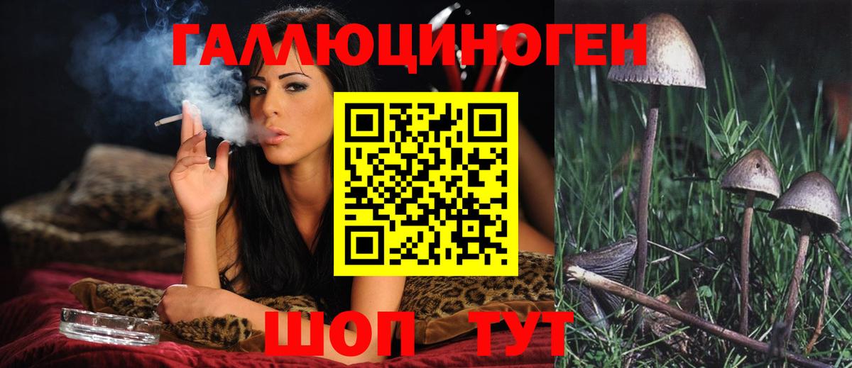 где купить наркотик  Вход с VPN  Калач-на-Дону  Псилоцибиновые грибы Psilocybe 